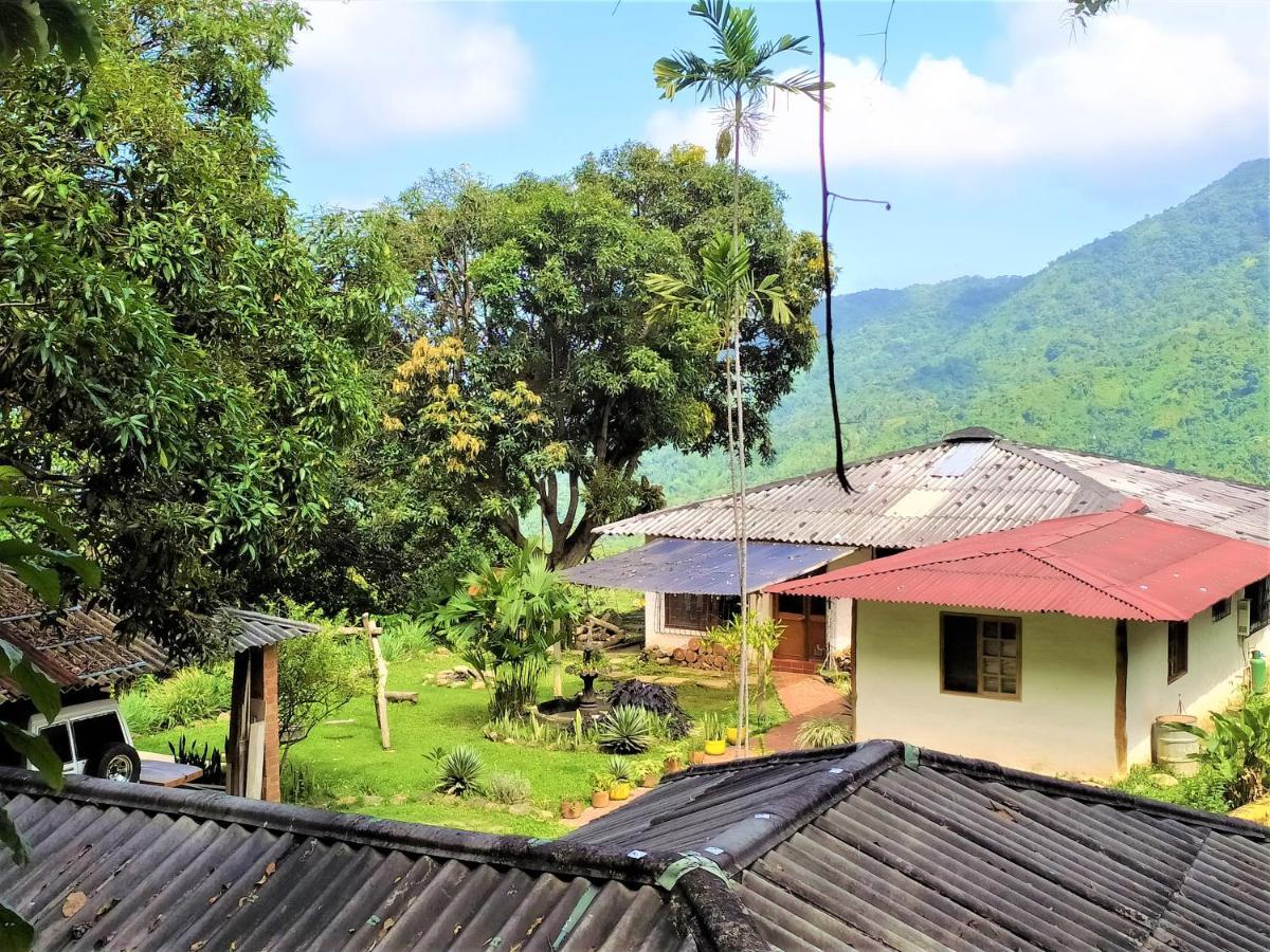 Finca Hostal Bolivar - Casa Quinta Minca Eksteriør billede